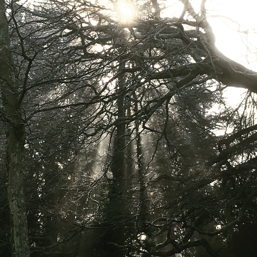 Through the darkness we see who we really&nbsp;are.