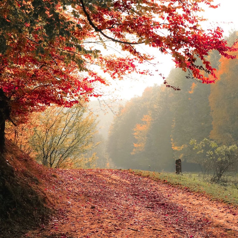 Four seasons of wellness. Top tips for enjoying every type of well-being&nbsp;weather.